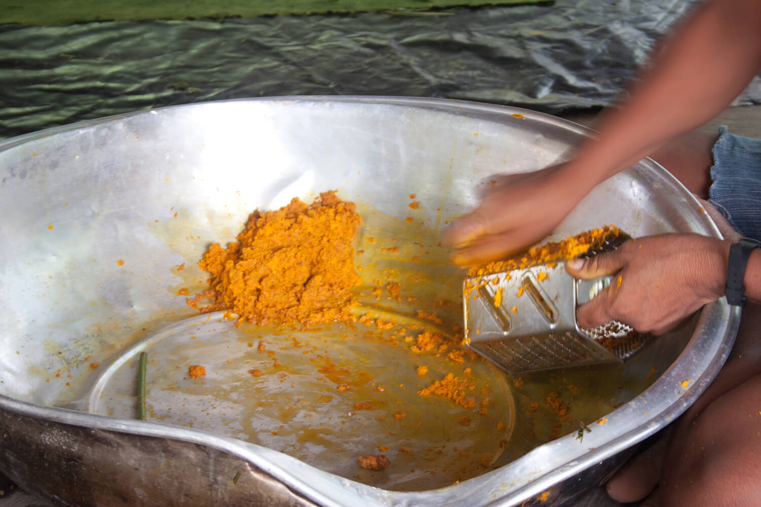 CURCUMA_galeria 04 _MG_3948.jpg